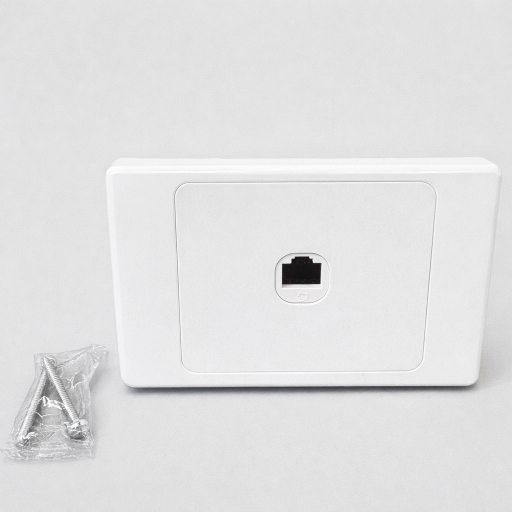 White indoor Cat6 RJ45 Ethernet wall plate with mounting screws